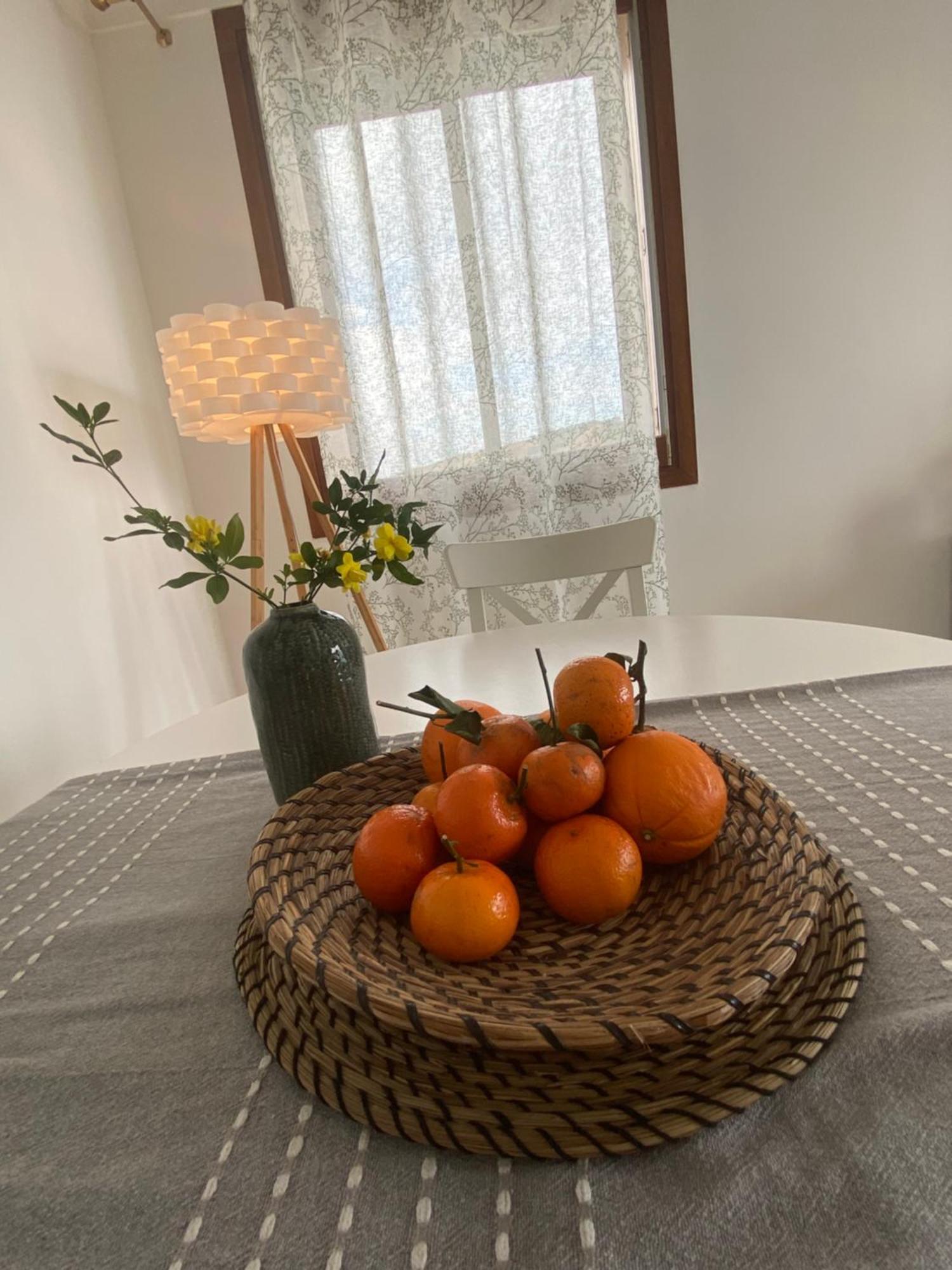 Profitez De La Vue ! Daire Banyuls-sur-Mer Dış mekan fotoğraf