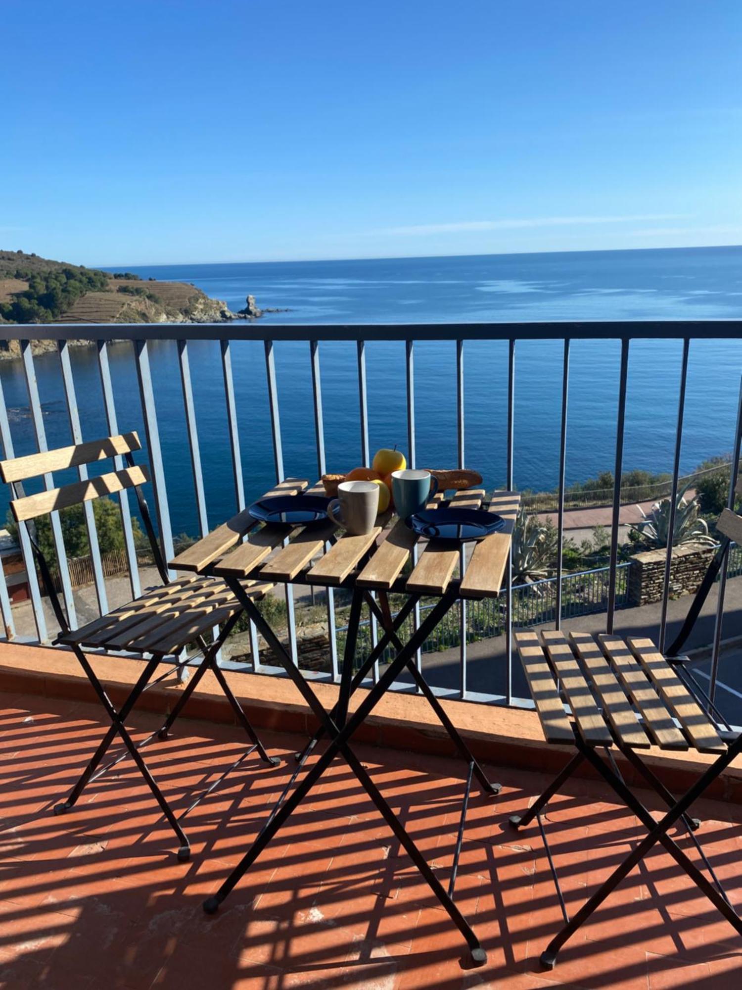 Profitez De La Vue ! Daire Banyuls-sur-Mer Dış mekan fotoğraf