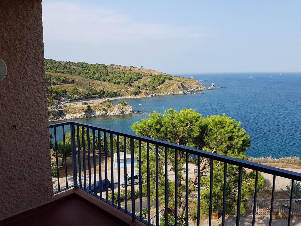 Profitez De La Vue ! Daire Banyuls-sur-Mer Dış mekan fotoğraf